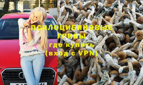 молекула духа Волоколамск