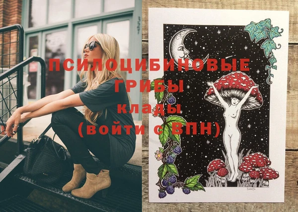 твердый Верея