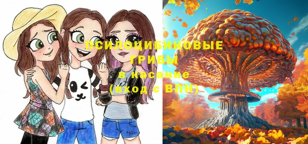 молекула духа Волоколамск