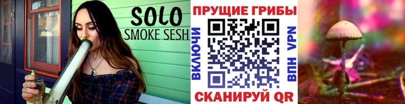 Псилоцибиновые грибы ЛСД  Тамбов 